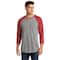Next Level Unisex Tri-Blend 3/4-Sleeve Raglan T-Shirt
